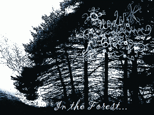 Wizard Of The Clouds : In the Forest...
